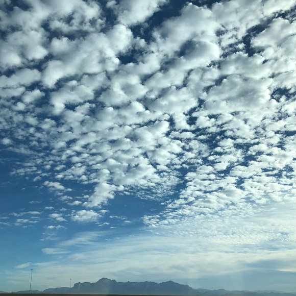 Meet your Posher, Rosanna - Picture 3 of 3